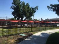 The umbrellas are up and ready for the Sunday Grill BBQ