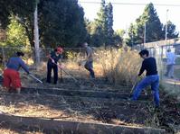 Cleaning up the garden at Central Park Elementary