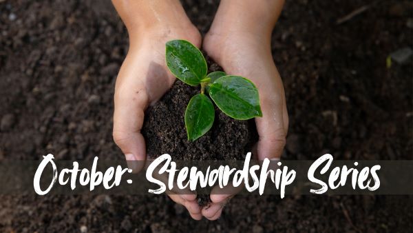 Stewardship